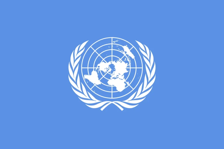 Flag-United-Nations.webp.webp