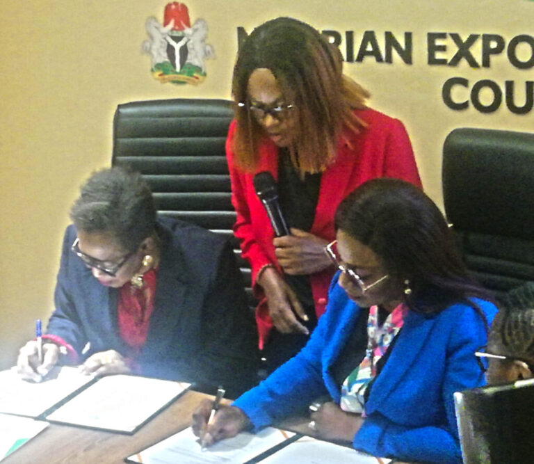 Mrs.-Chinwe-Ezenwa-at-the-NEPC-headquarters-in-Abuja-on-Thursday-1024x889.jpeg