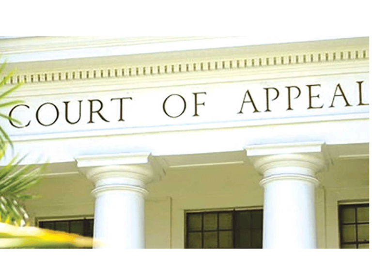 Appeal-Court.png