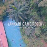 Yankari-games-reserve.jpg