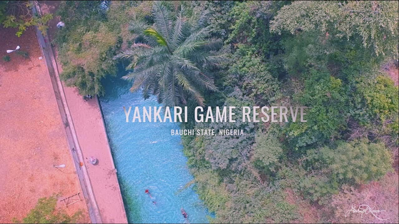 Yankari-games-reserve.jpg